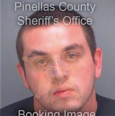 Cancelli Robert - Pinellas County, FL 