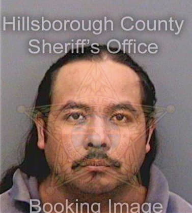 Venegas Reyes - Hillsborough County, FL 