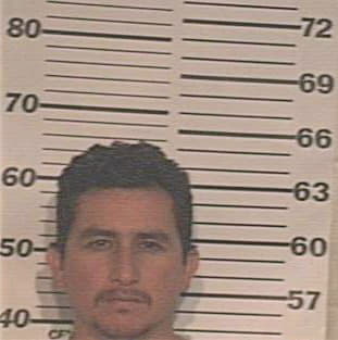 Tovar David - Hidalgo County, TX 