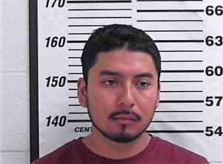 Trijillo Perez - Davis County, UT 