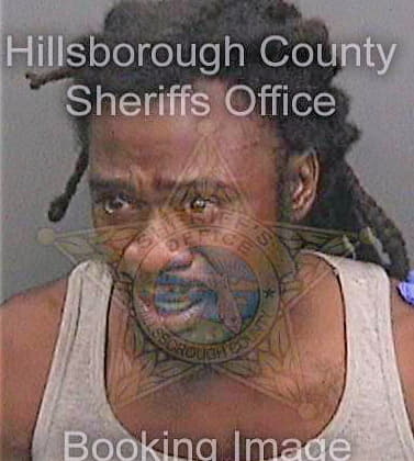 Mcdowell Jermaine - Hillsborough County, FL 