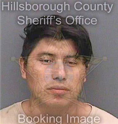 Vazquezsantizo Marcelo - Hillsborough County, FL 