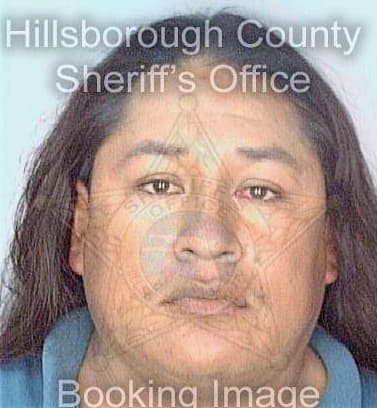 Hernandez Filiberto - Hillsborough County, FL 