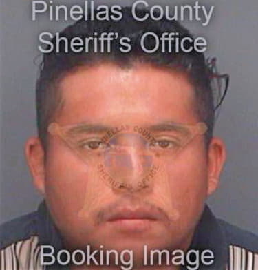 Sanchezvelazquez Rafael - Pinellas County, FL 