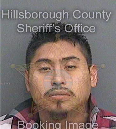 Lopezsanchez Carlos - Hillsborough County, FL 