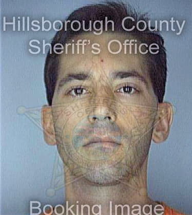 Desmond Edward - Hillsborough County, FL 