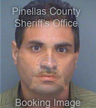 Pineiro Victor - Pinellas County, FL 