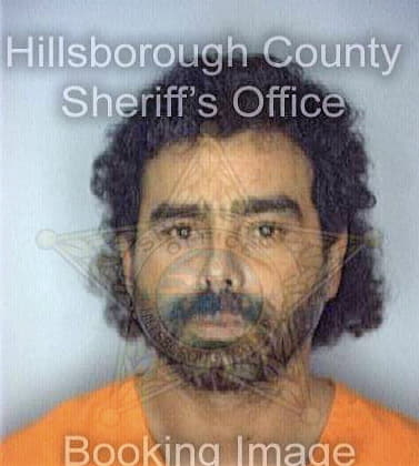 Gonzalez Josue - Hillsborough County, FL 