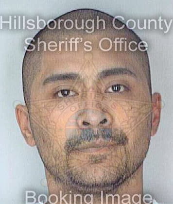 Cruz Leonel - Hillsborough County, FL 