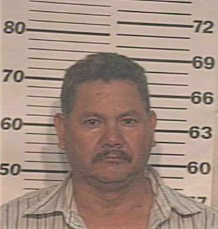 Hernandez Arturo - Hidalgo County, TX 