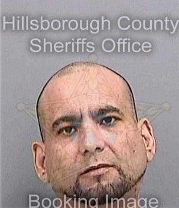 Velez Wilfredo - Hillsborough County, FL 