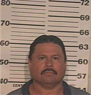 Ramirez Ramon - Hidalgo County, TX 