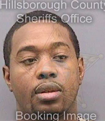 Snell Tyrone - Hillsborough County, FL 