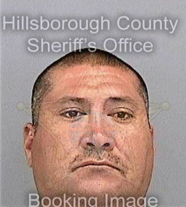 Martinez Domingo - Hillsborough County, FL 