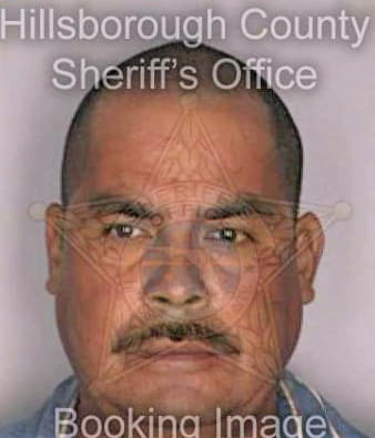 Maldonado Jose - Hillsborough County, FL 