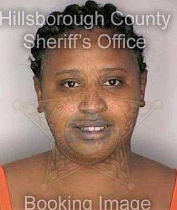 Simmons Tiffany - Hillsborough County, FL 