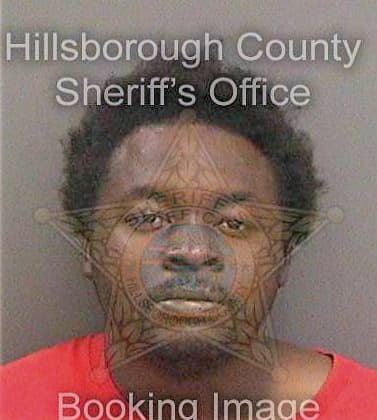 Mcdonald Dameon - Hillsborough County, FL 