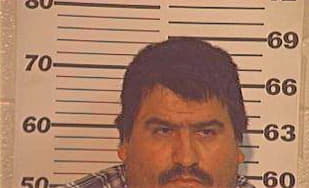 Hernandez Joel - Hidalgo County, TX 