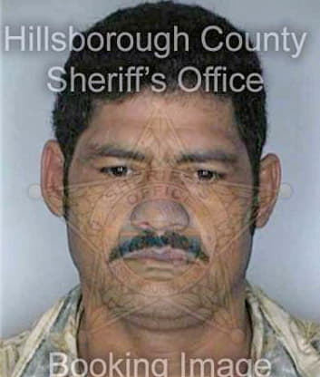 Garcia Rigoberto - Hillsborough County, FL 