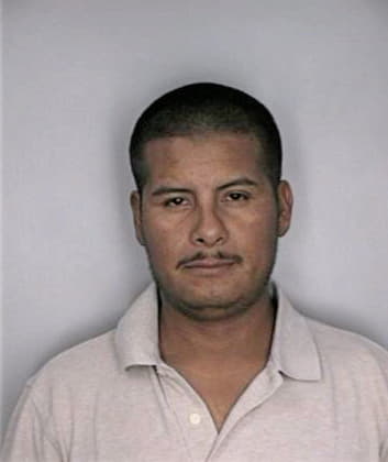 Baustistahernandez Andres - Hillsborough County, FL 