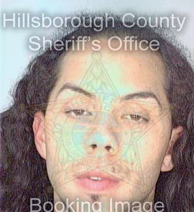 Dejesus Ferdinand - Hillsborough County, FL 