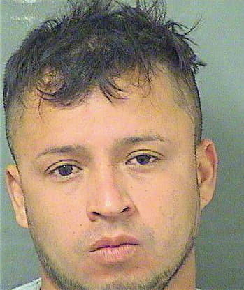 Benitez Fredy - PalmBeach County, FL 