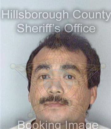 Mejia Luis - Hillsborough County, FL 
