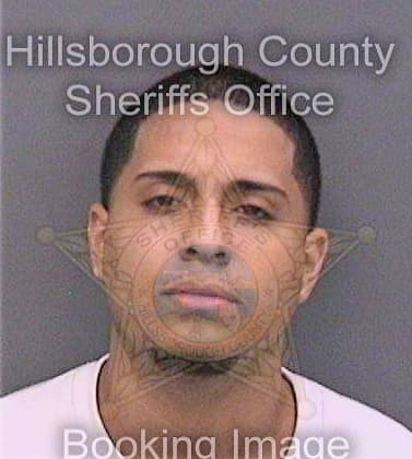 Satizabal Jose - Hillsborough County, FL 