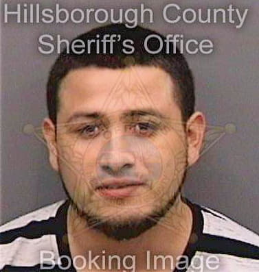 Castro Daniel - Hillsborough County, FL 