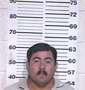 Portillo Jose - Hidalgo County, TX 