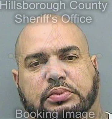 Speights Jerome - Hillsborough County, FL 