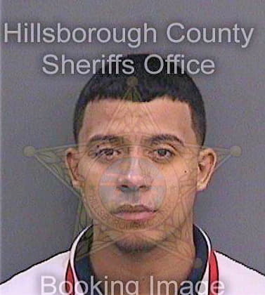 Diaz Lorenzo - Hillsborough County, FL 