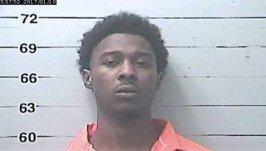 Stewart Tradarius - Harrison County, MS 