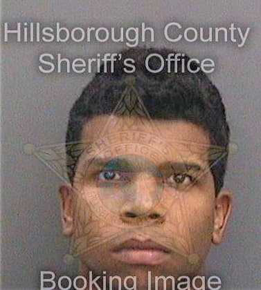 Jimenez Joel - Hillsborough County, FL 