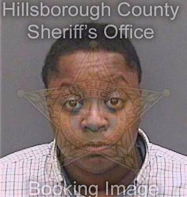 Holley Tamika - Hillsborough County, FL 