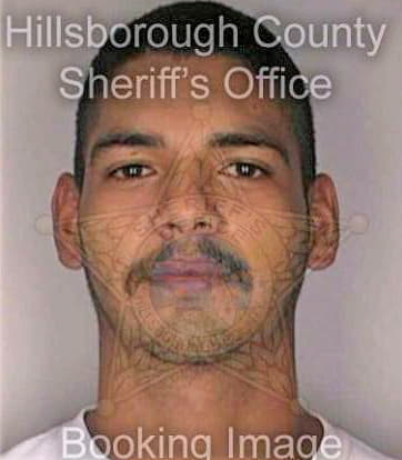 Trevino Samuel - Hillsborough County, FL 