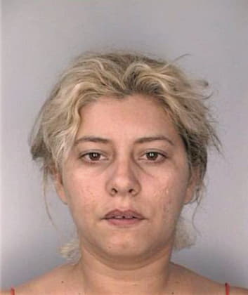 Mejias Niurka - Hillsborough County, FL 