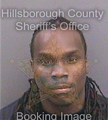 Thornton David - Hillsborough County, FL 