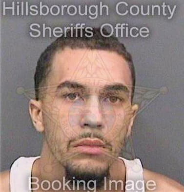 Walker Joseph - Hillsborough County, FL 