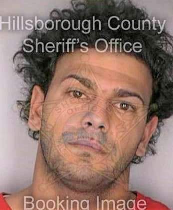Mendez Edgar - Hillsborough County, FL 