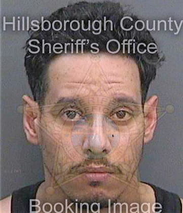 Martinez Otoniel - Hillsborough County, FL 