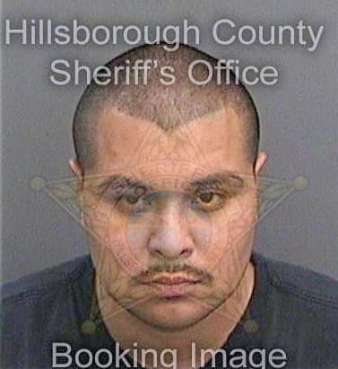 Ballejo Juan - Hillsborough County, FL 