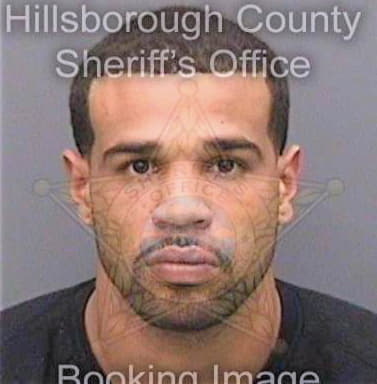 Ramirez Carlos - Hillsborough County, FL 