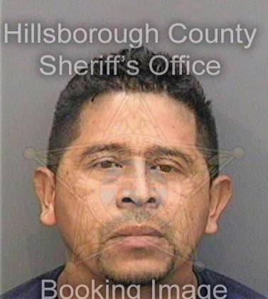 Navasgonzalez Wilman - Hillsborough County, FL 