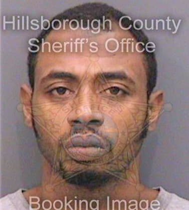 Johnson Terrance - Hillsborough County, FL 