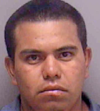 Solis Tony - Lee County, FL 
