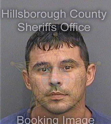 Mahmudi Ian - Hillsborough County, FL 