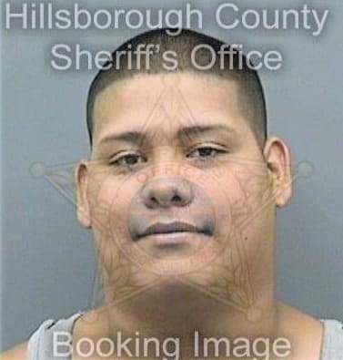 Rios Leonel - Hillsborough County, FL 