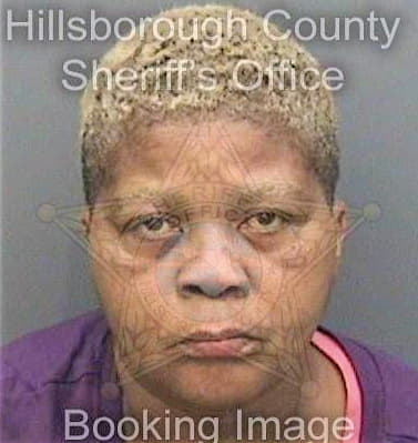 Sims Diane - Hillsborough County, FL 