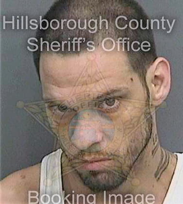 Raulerson James - Hillsborough County, FL 